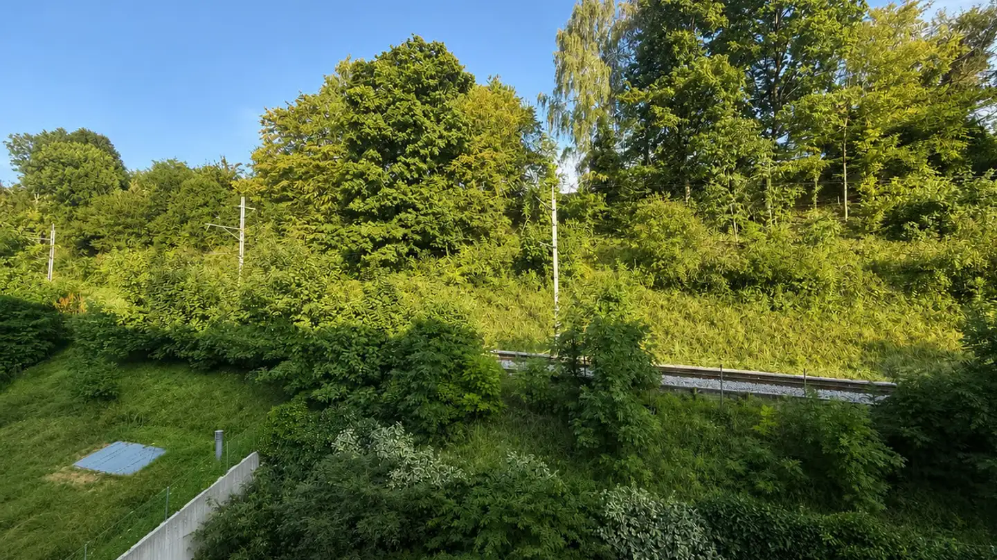 Apartment for sale - Avenue de Gilamont 44, 1800 Vevey - Photo 3