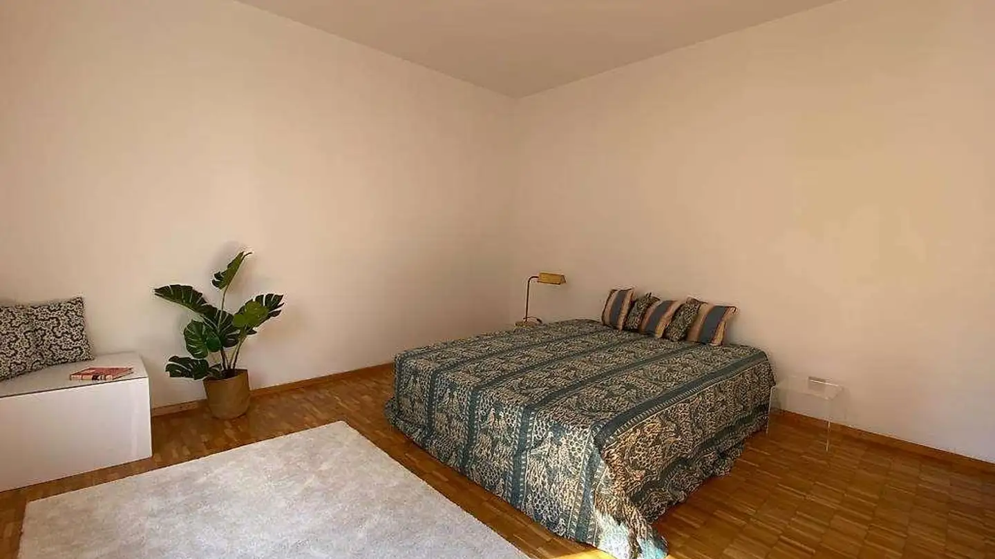 Wohnung mieten - 6963 Pregassona - Foto 4