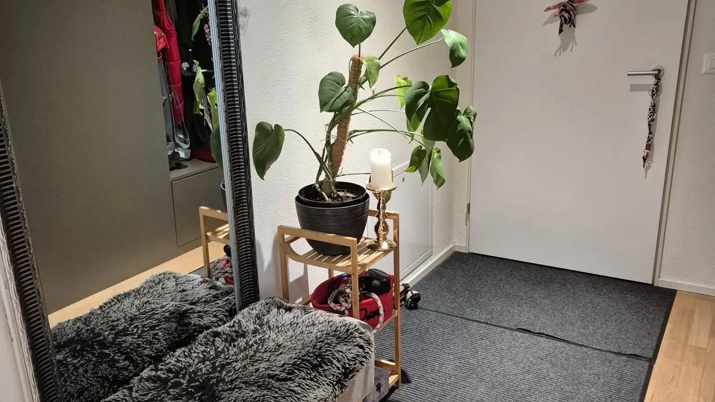 Appartamento in affitto - Mättlistrasse 2, 5706 Boniswil - Foto 3