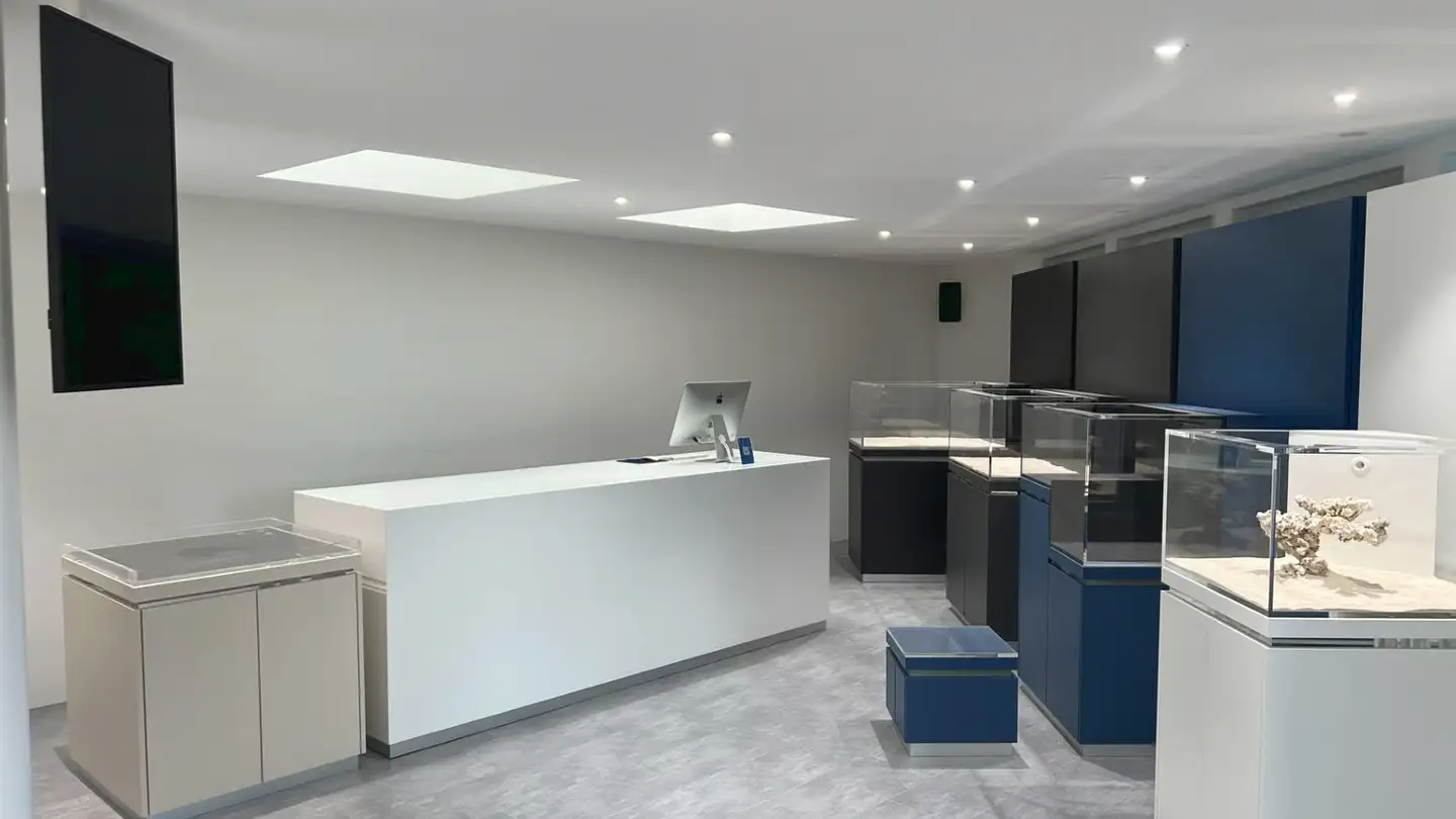 Gewerbe mieten - Zürichstrasse 117b, 8123 Ebmatingen - Foto 4