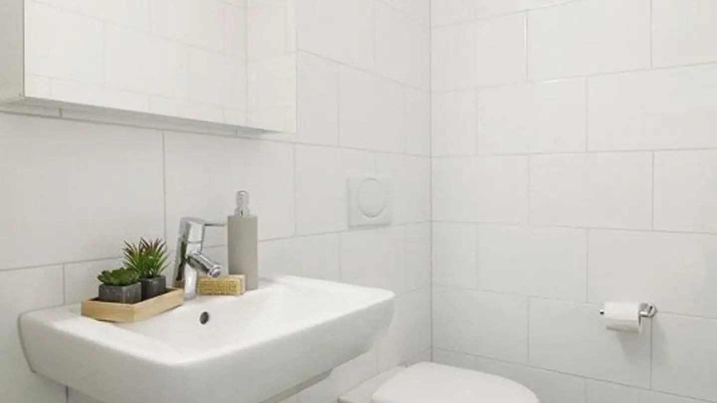 Appartamento in affitto - Langhagstrasse 20, 4600 Olten - Photo 4