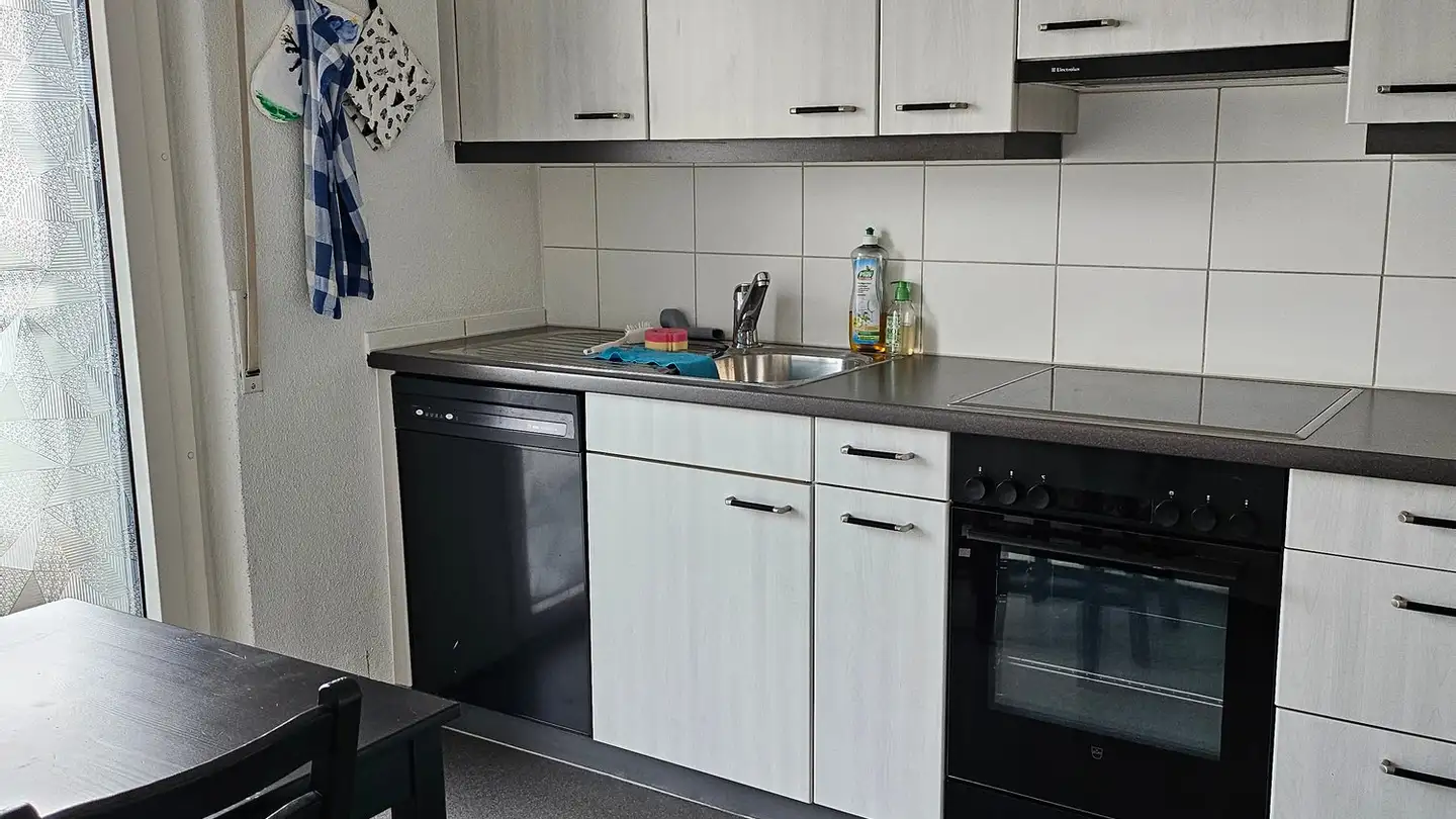 Wohnung mieten - Hallwilerweg 10, 6003 Luzern - Foto 3