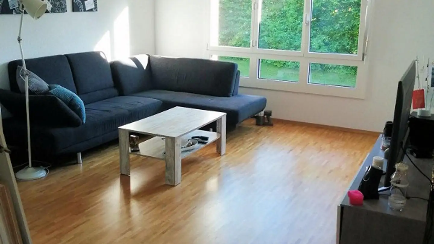 Apartment for rent - Aebnitstrasse 28d, 3074 Muri b. Bern - Photo 3