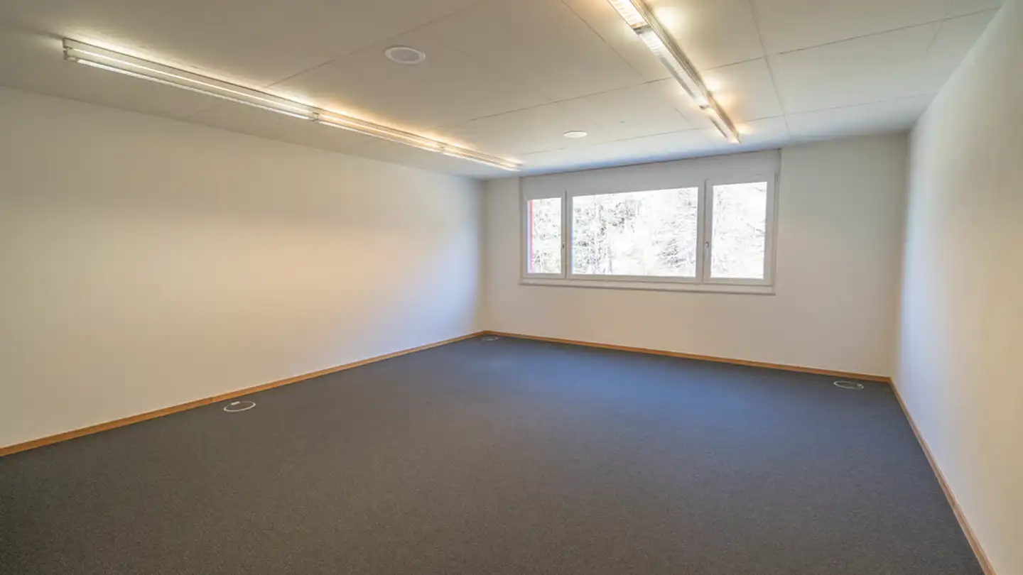 Gewerbe mieten - Sägereistrasse 7, 8834 Schindellegi - Foto 2