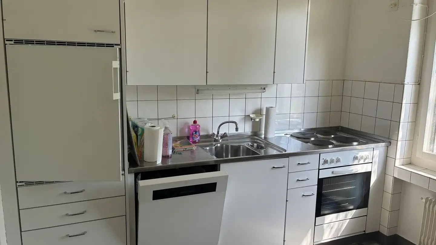 Chambre à louer - Stodolastrasse 3, 8053 Zürich - Photo 4