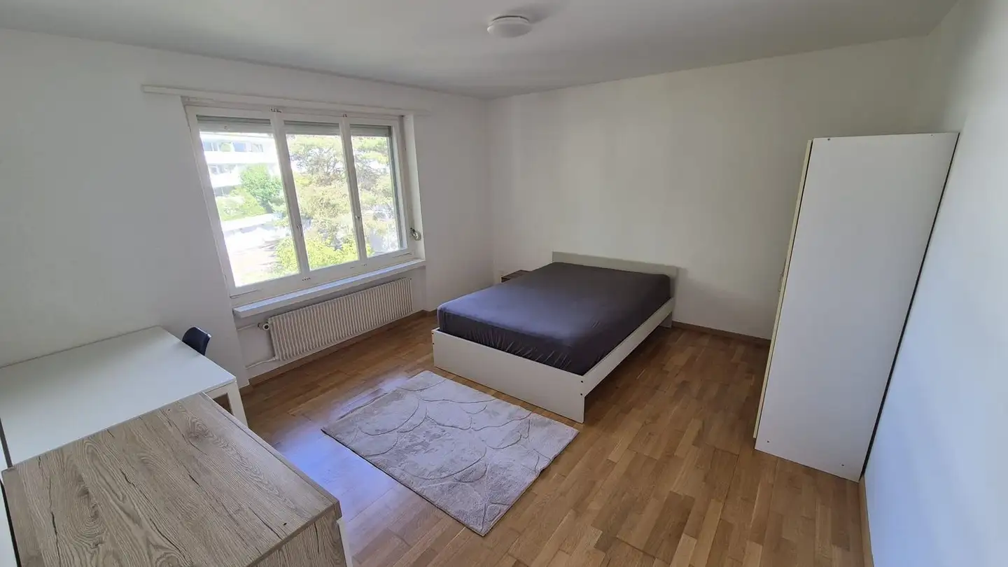 Chambre à louer - Stodolastrasse 3, 8053 Zürich - Photo 2