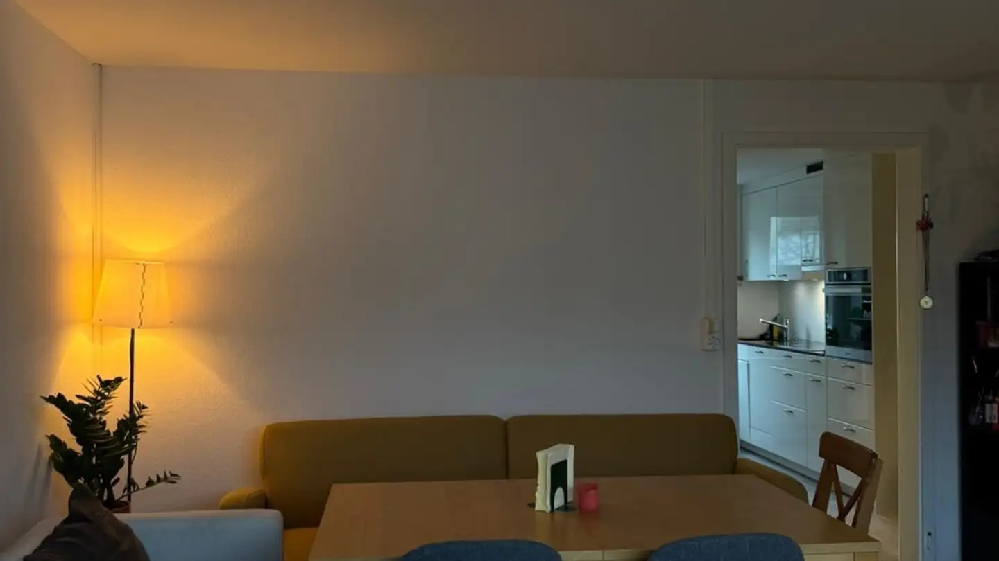 Appartement à louer - Fellenbergstrasse 227, 8047 Zürich - Photo 2