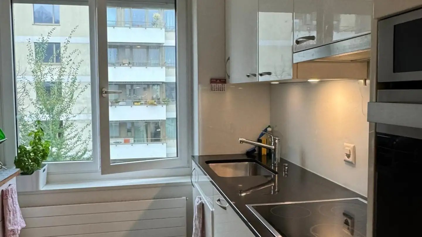 Appartement à louer - Fellenbergstrasse 227, 8047 Zürich - Photo 4