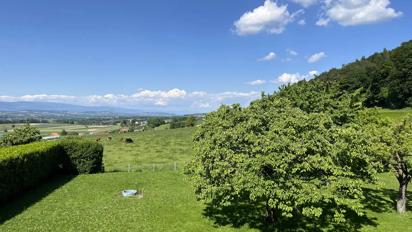 Single house for sale - 1551 Vers-chez-Perrin