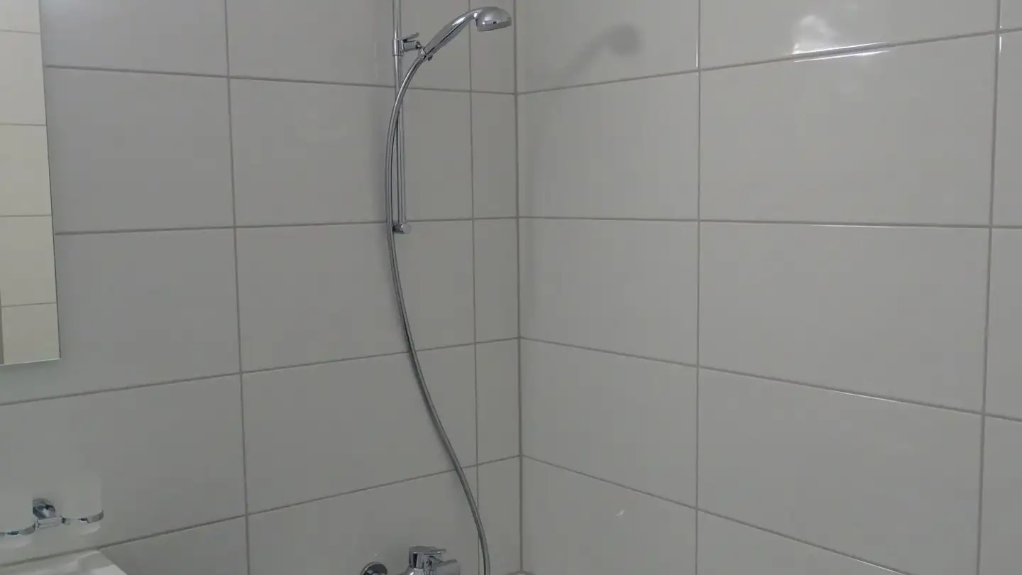 Attique à louer - Grosswiesenstrasse 165, 8051 Zürich - Photo 4