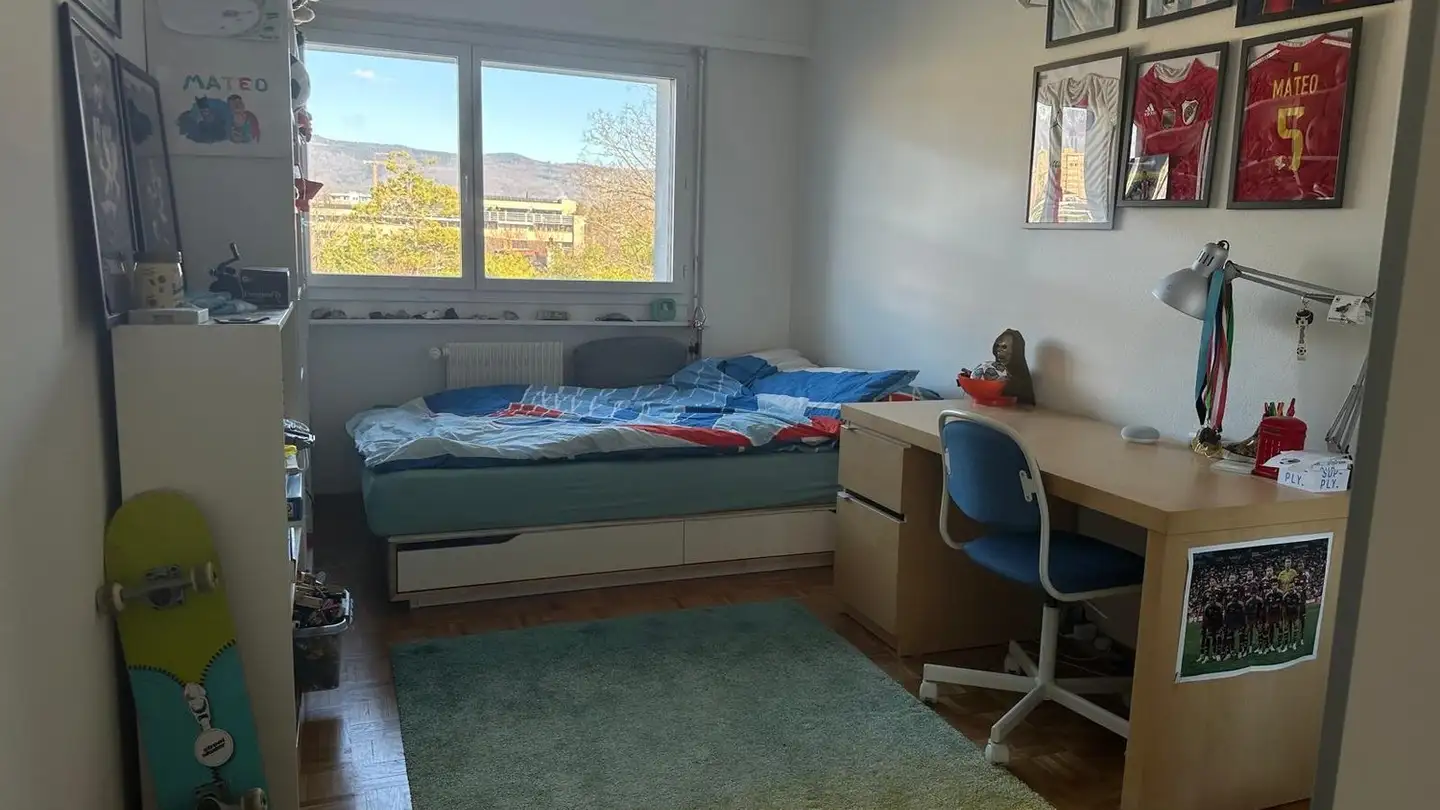 Appartamento in affitto - Route de Saint-Cergue 24B, 1260 Nyon