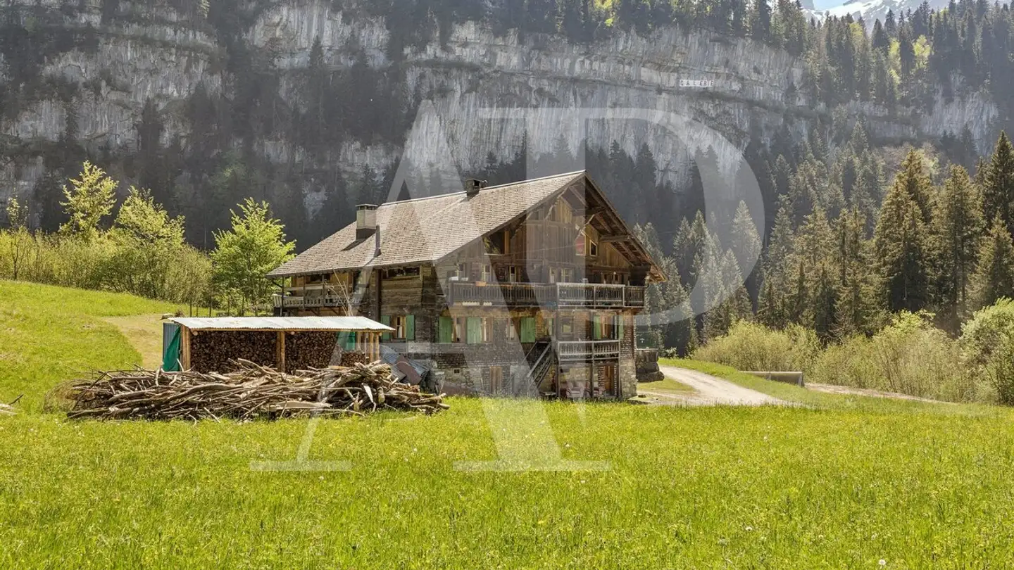 Chalet à vendre - 1874 Champéry