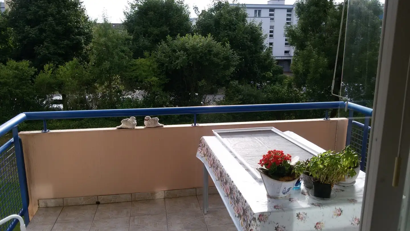 Appartement à vendre - Irisweg 5, 5417 Untersiggenthal - Photo 4