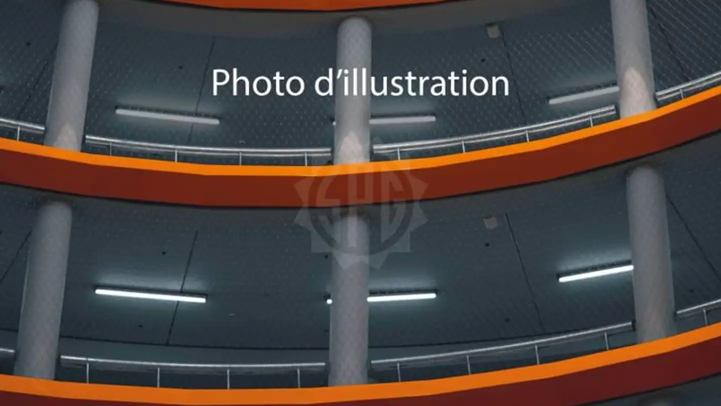 Garage individuel à louer - Rue Du Vieux-Moulin 1, 1213 Onex