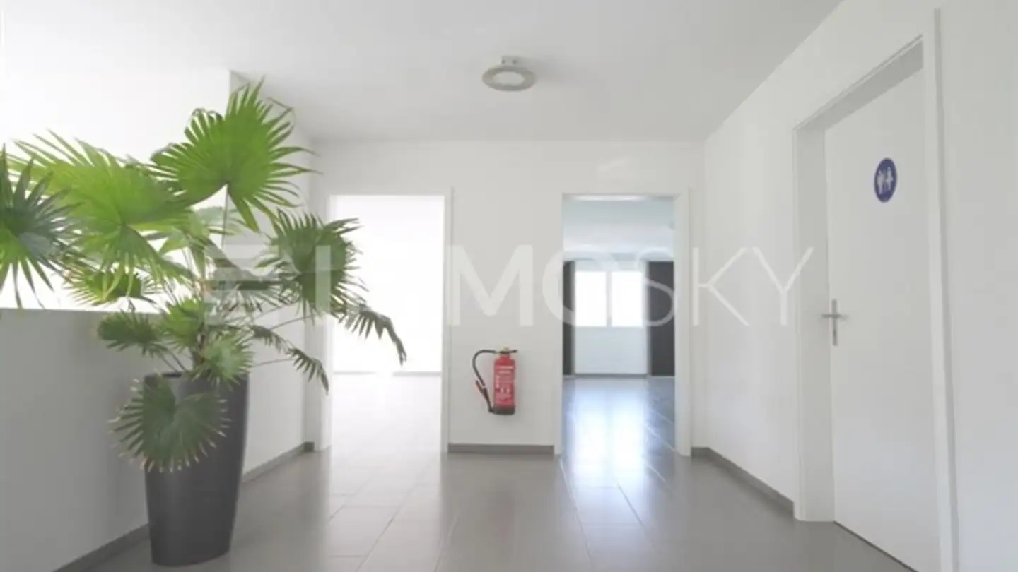 Appartement à louer - 5745 Safenwil - Photo 3