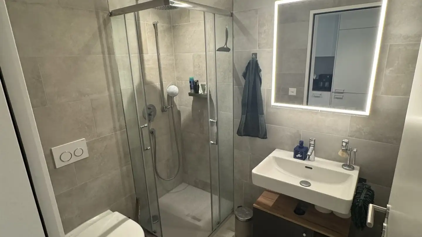 Apartment for rent - Sihlaurain 4e, 8134 Adliswil - Photo 4
