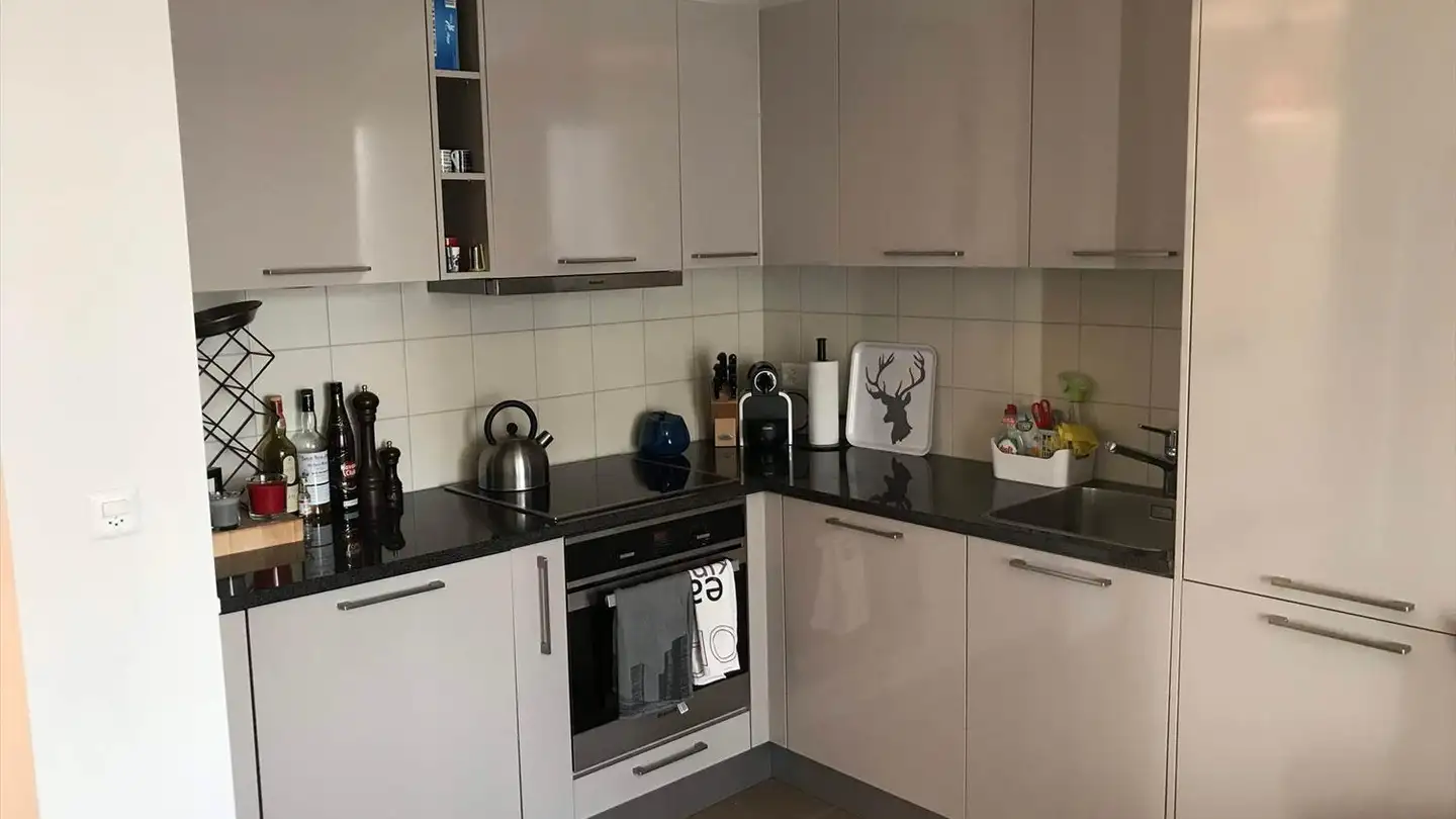 Studio for sale - Rue Du Ronzier 1, 1260 Nyon - Photo 2