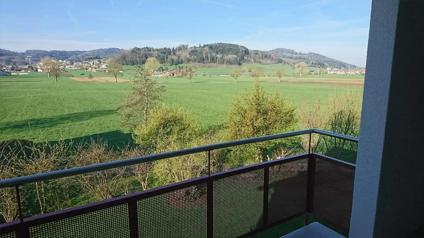 Appartement à louer - Im Ehrmerk 5, 8360 Wallenwil - Photo 2