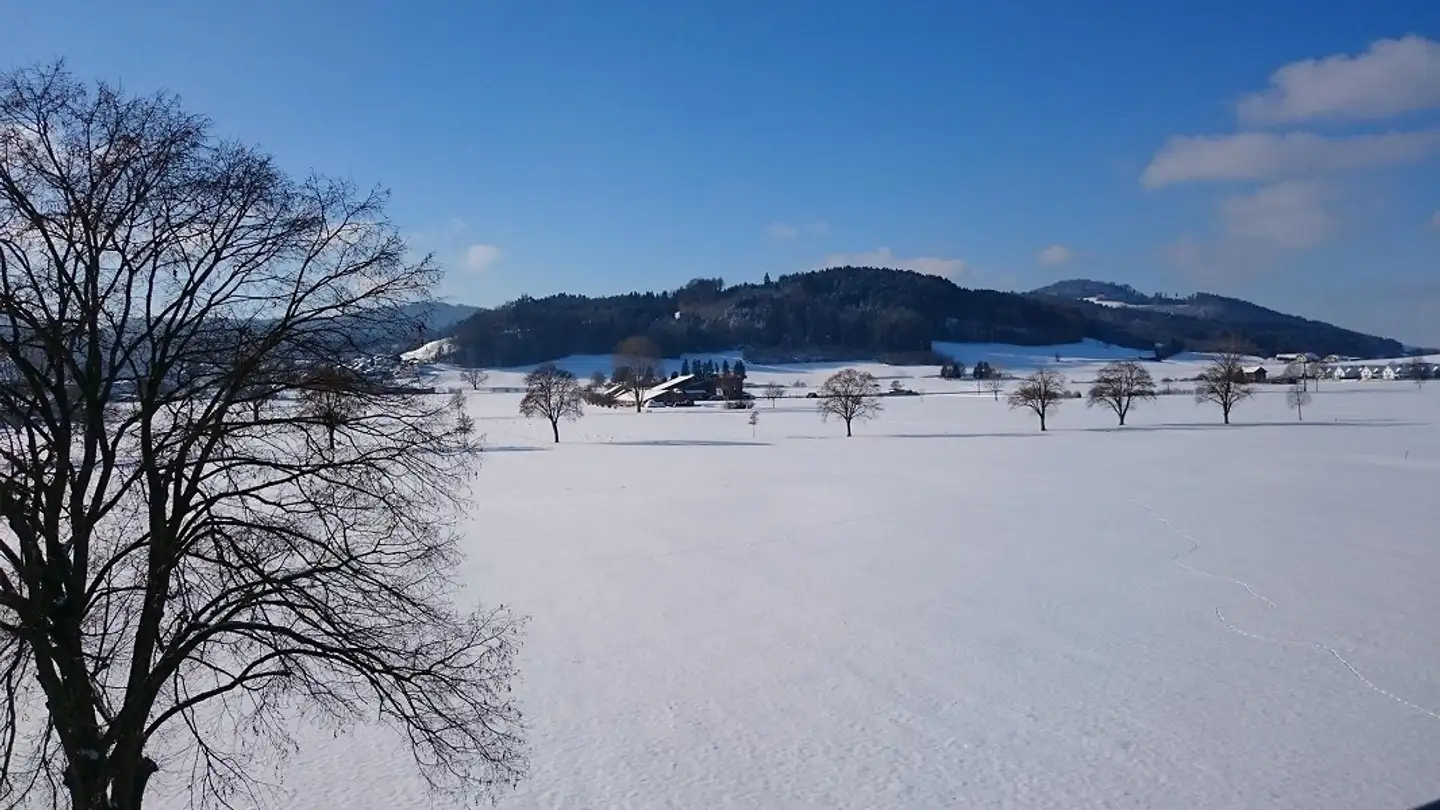 Appartement à louer - Im Ehrmerk 5, 8360 Wallenwil - Photo 3