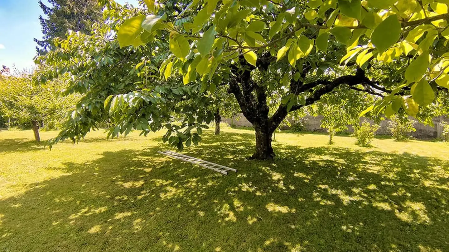 Single house for sale - 1422 Grandson