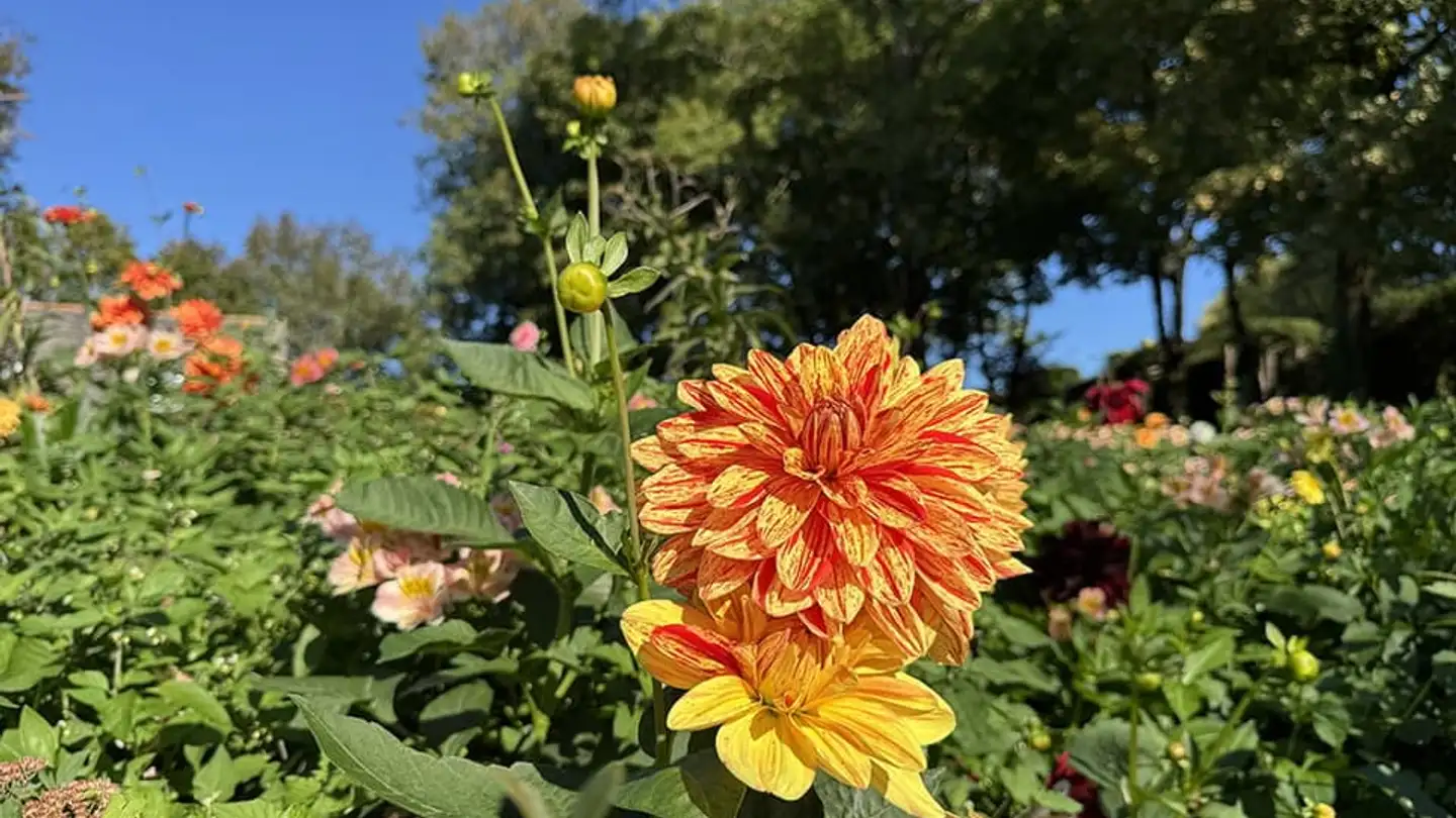 Single house for sale - 1422 Grandson - Photo 2