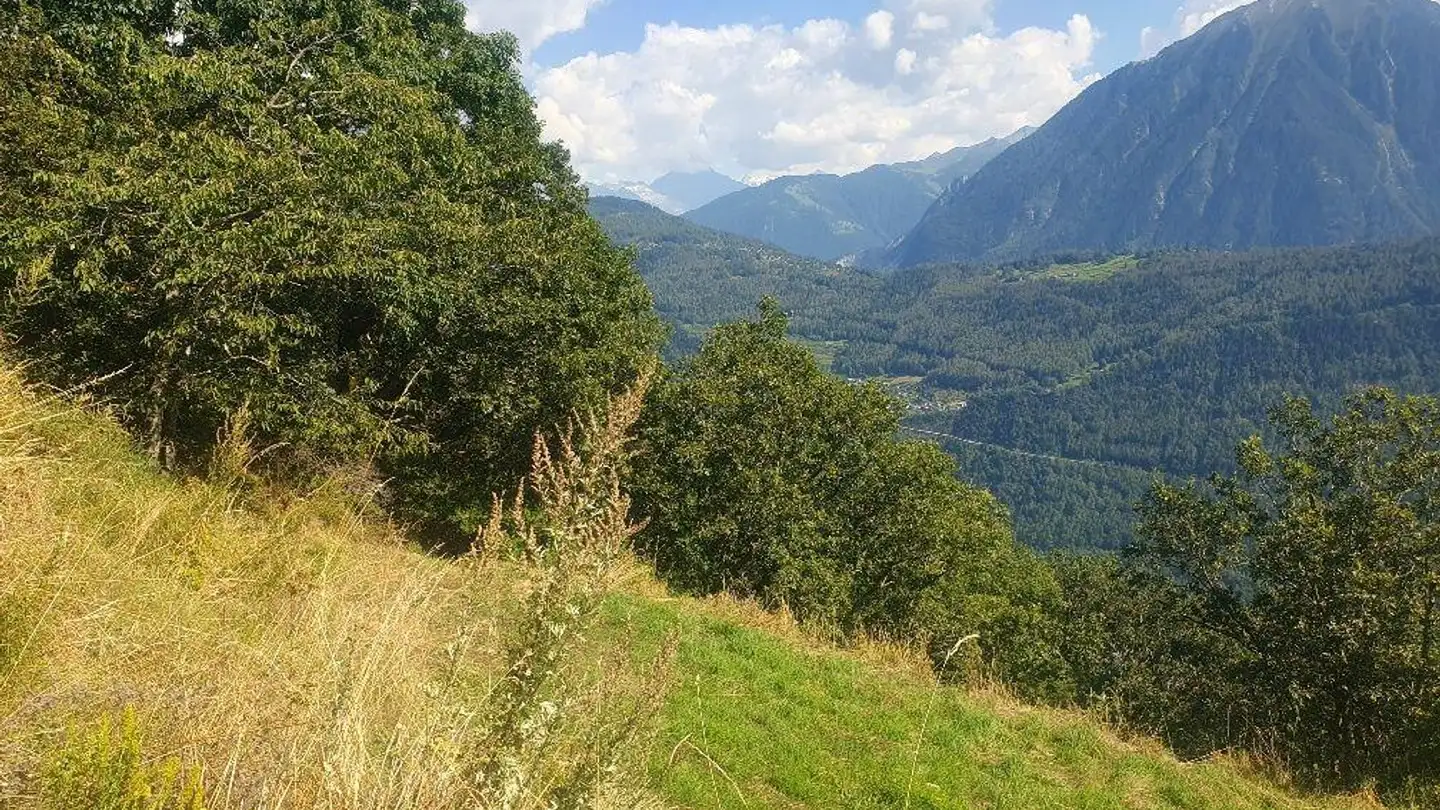 Terrain constructible à vendre - 1928 Ravoire - Photo 3