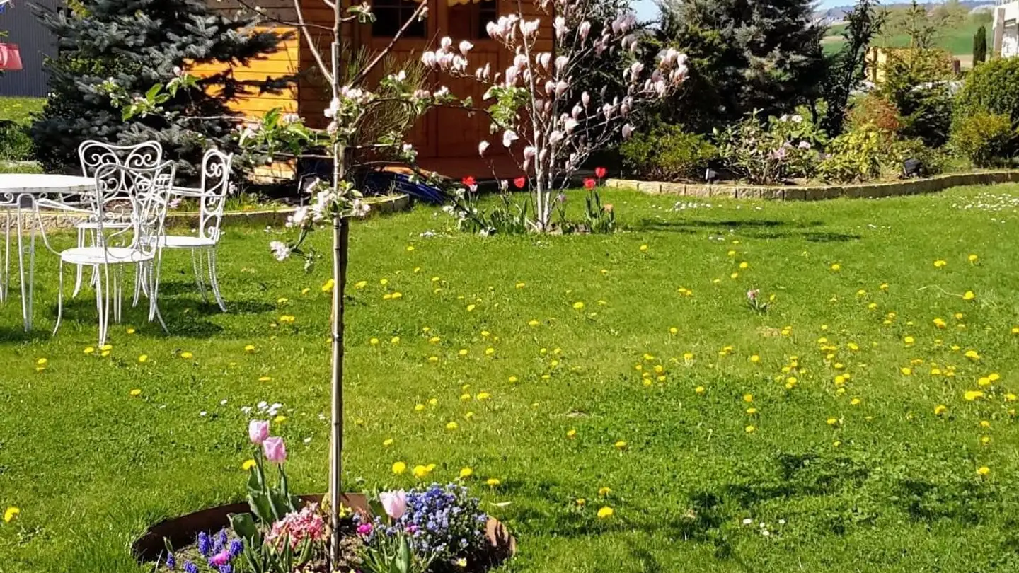 Maison individuelle à vendre - Chirchefäld 11, 8564 Wäldi - Photo 4