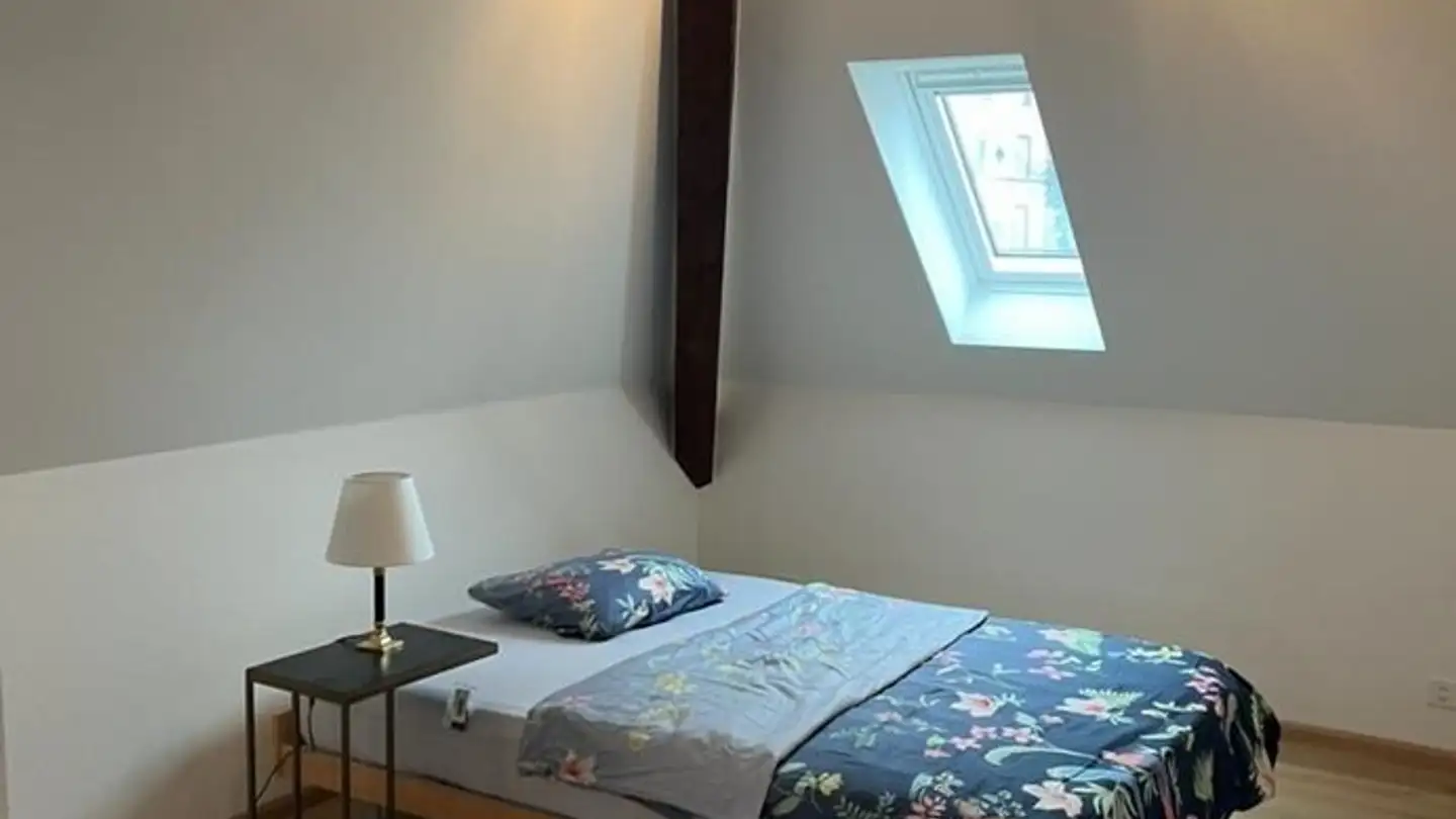 Stanza singola in affitto - 4055 Basel