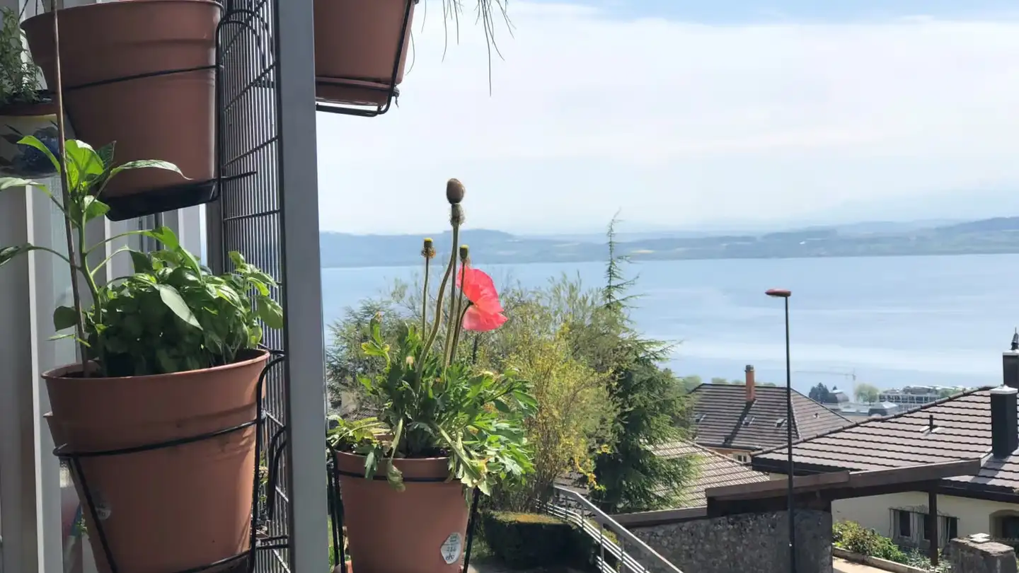 Wohnung mieten - Chemin Des Pavés 30, 2000 Neuchâtel