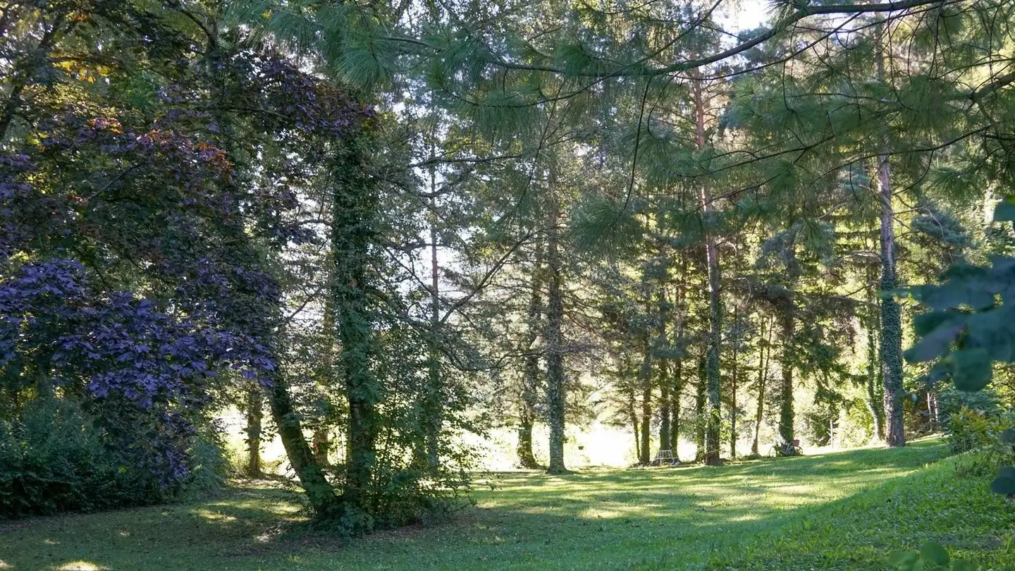 Villa in vendita - 7310 Bad Ragaz - Photo 3