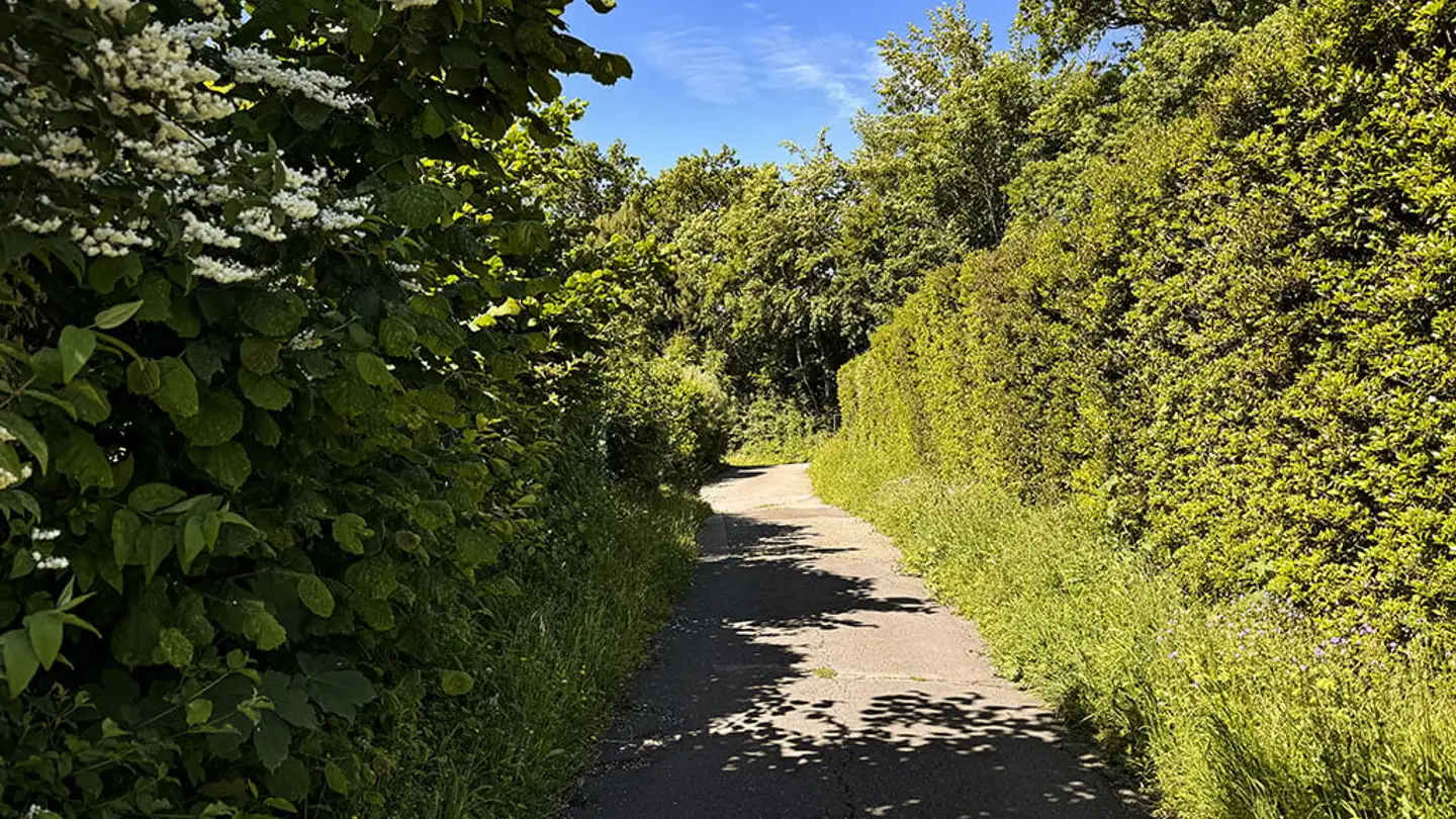 Casa bifamiliare in vendita - 1172 Bougy-Villars - Photo 2