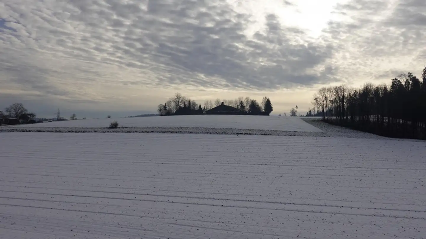 Appartamento in affitto - Seuzachstrasse 85, 8412 Riet (Neftenbach) - Foto 3