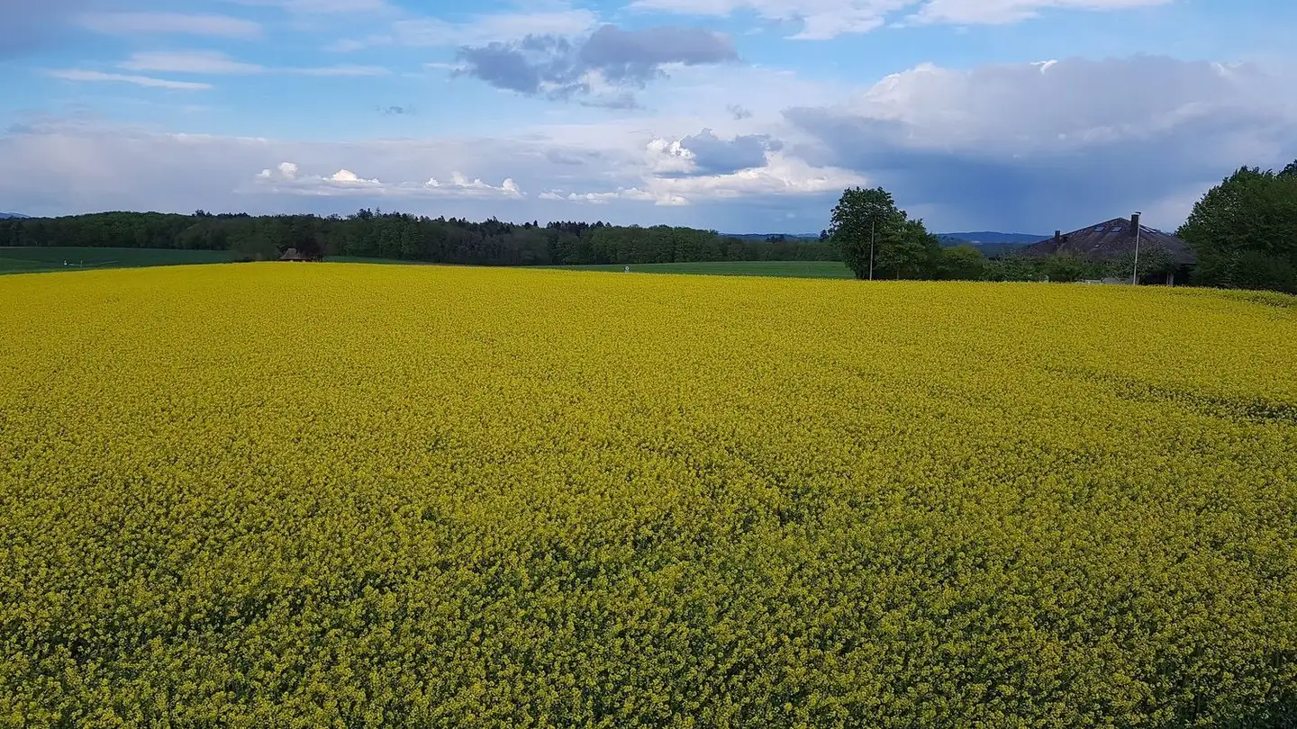 Apartment for rent - Lörenacker 7, 4556 Aeschi SO - Photo 2