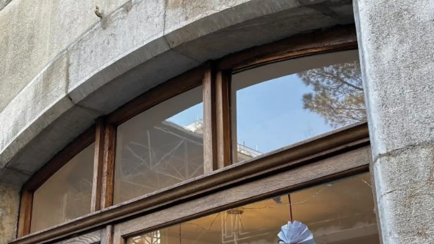 Commercial à vendre - Rue Dizerens, 1205 Genève - Photo 3
