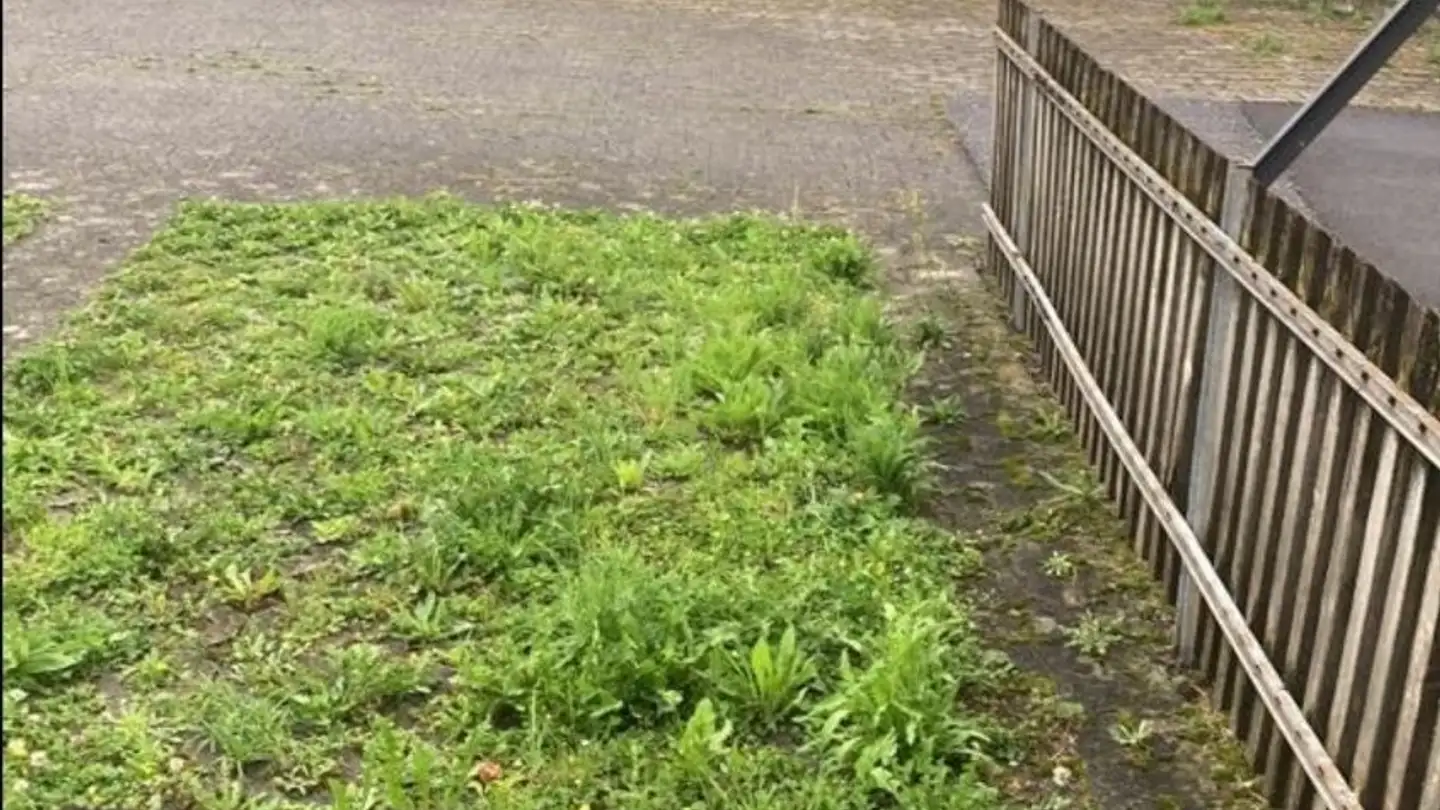 Appartamento in affitto - 7320 Sargans - Photo 3