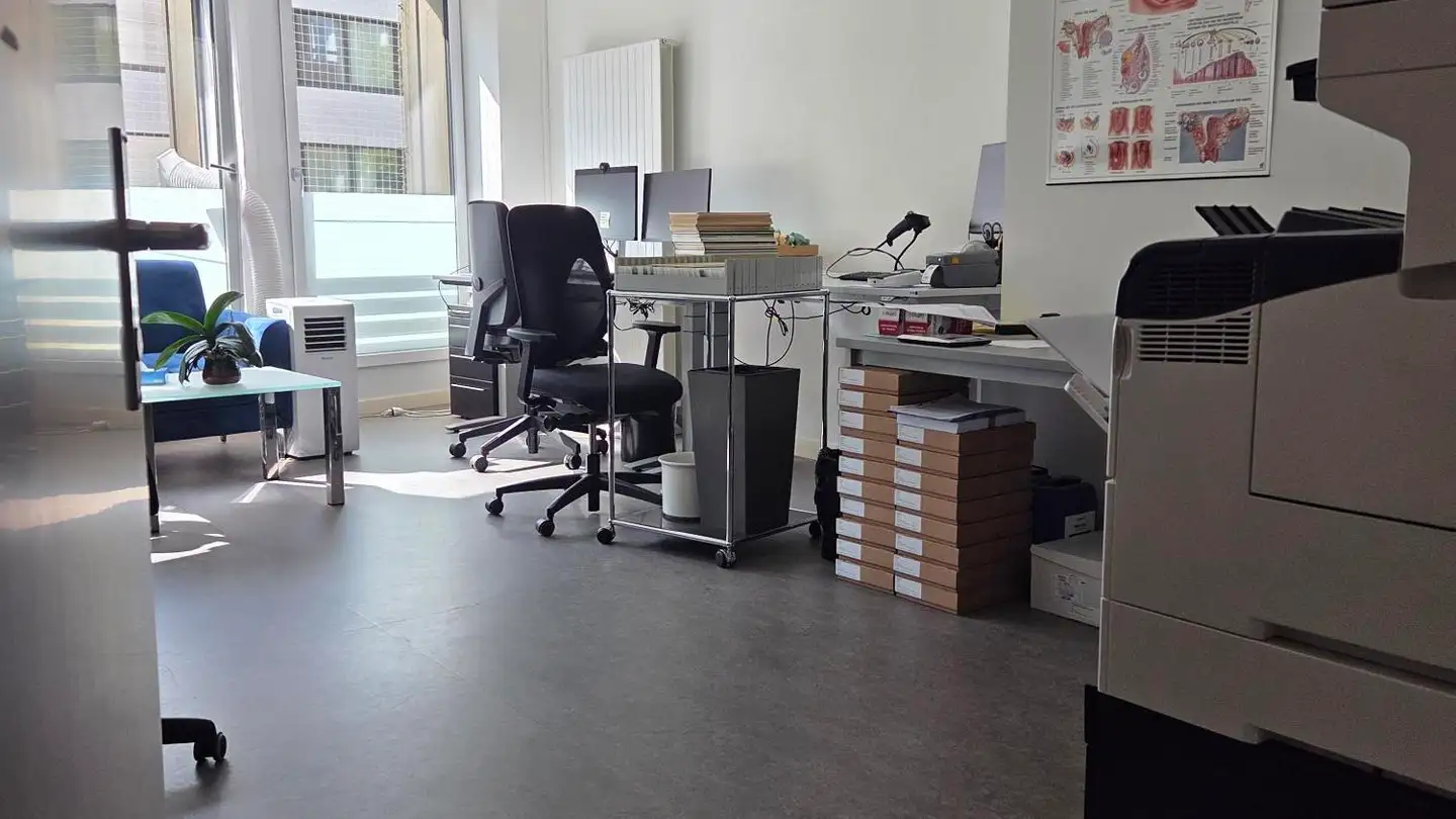 Casa singola in affitto - Aeschenvorstadt 57, 4051 Basel - Photo 2