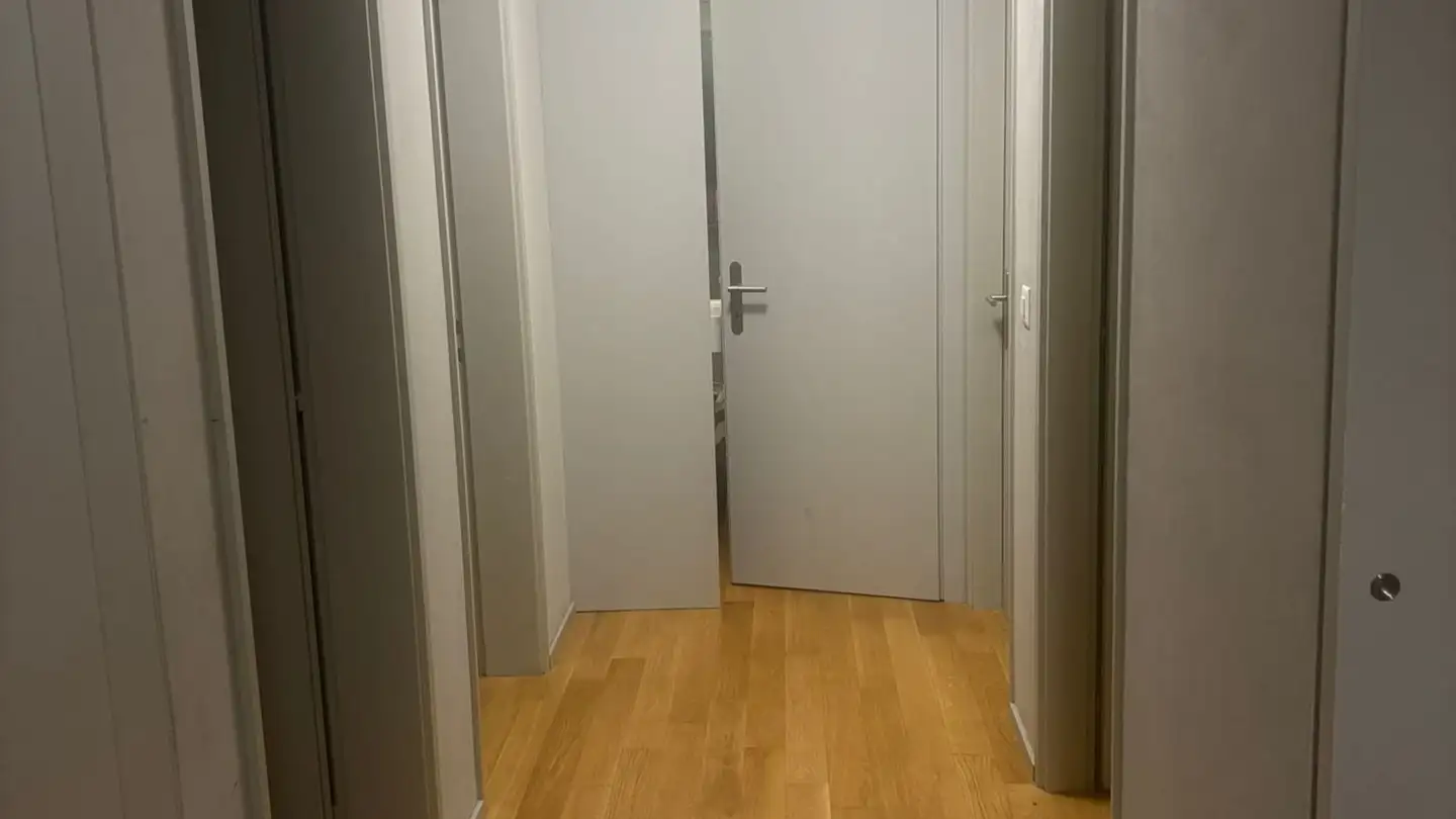 Wohnung mieten - El Stradún 17, 6513 Monte Carasso - Foto 2