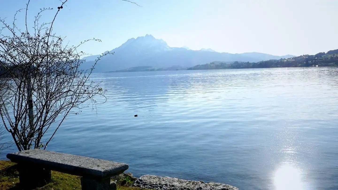 Duplex à louer - 6404 Greppen