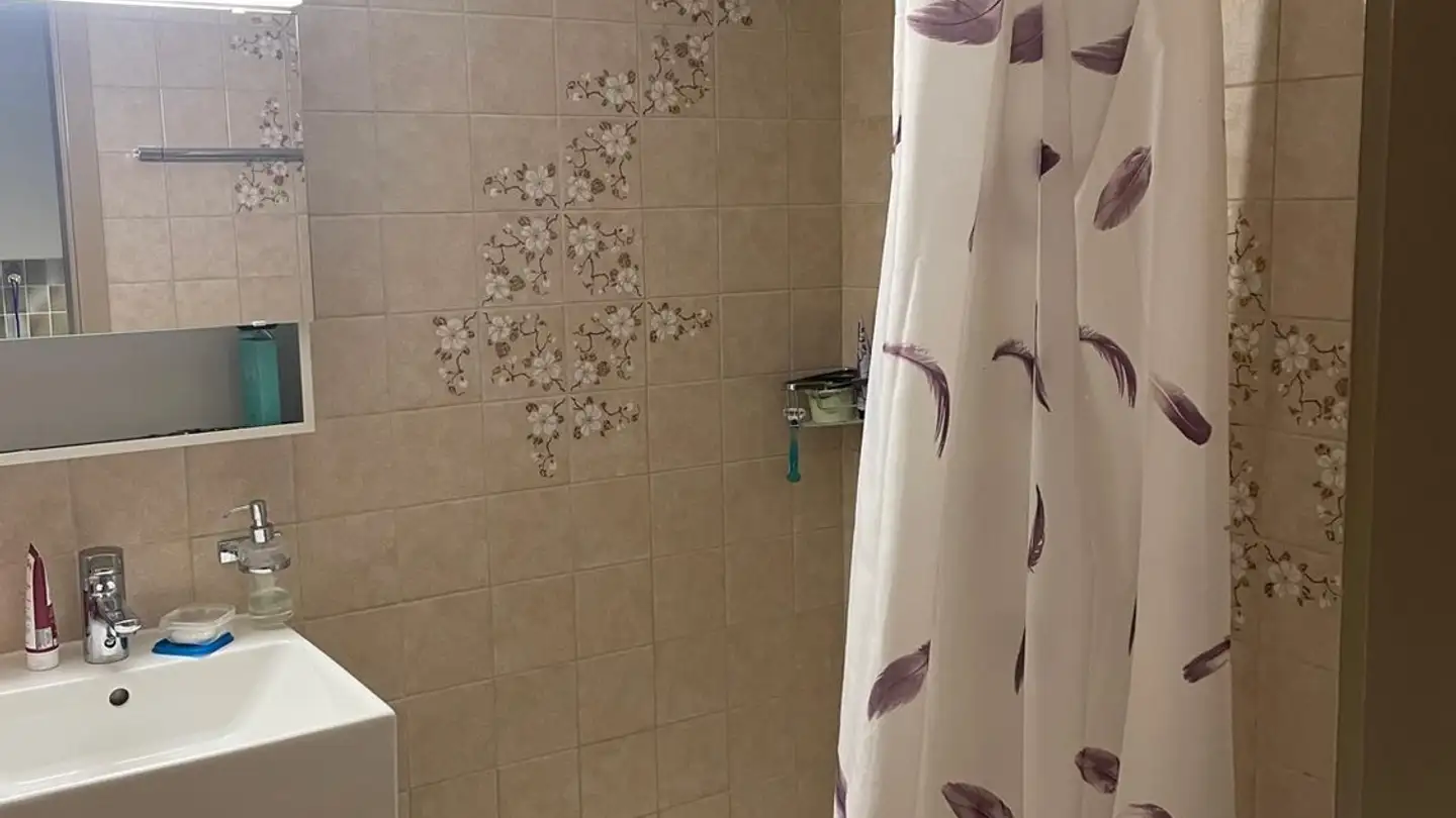 Appartamento in affitto - 8400 Winterthur - Photo 2