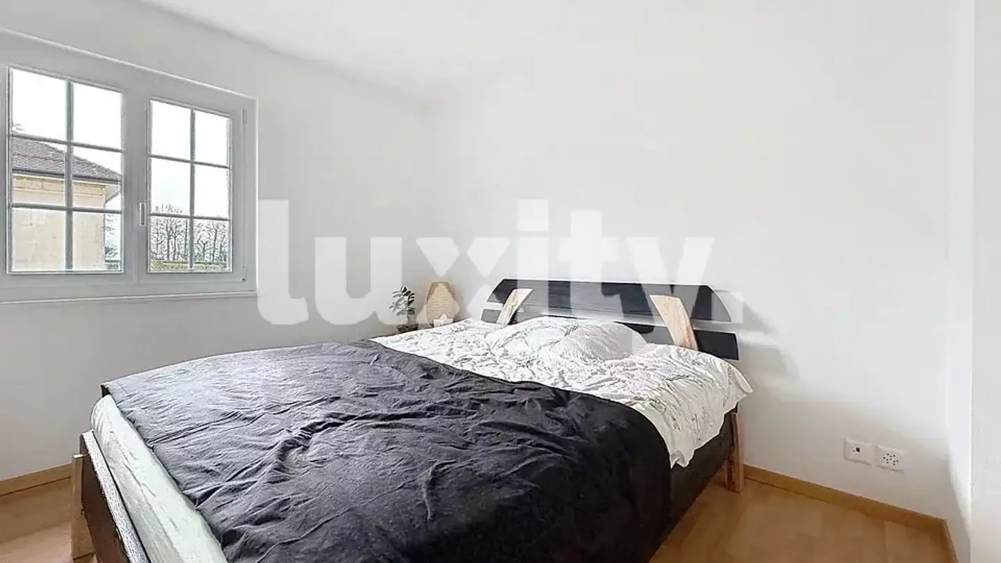 Single house for rent - 1195 Dully - Photo 4