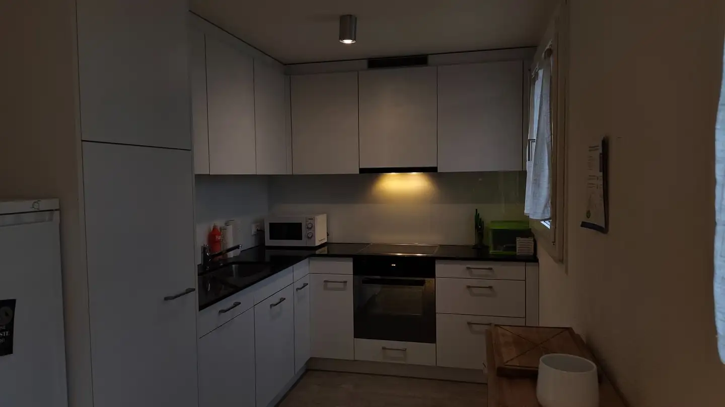 Appartamento in affitto - Untere Weidstrasse, 6343 Rotkreuz - Foto 3