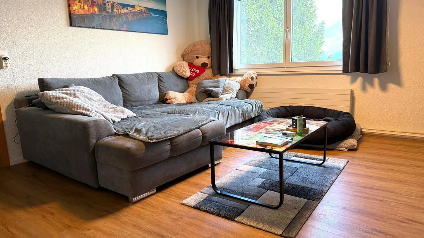 Appartamento in affitto - Wildhauserstrasse 1, 9473 Gams - Foto 4