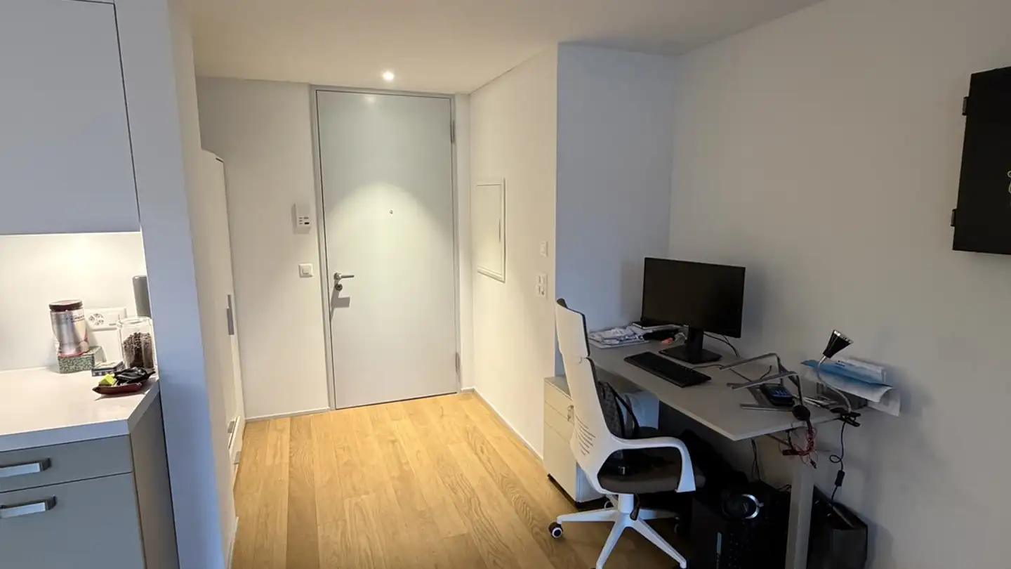 Möblierte Wohnung mieten - Maneggpromenade, 8041 Zürich - Foto 3