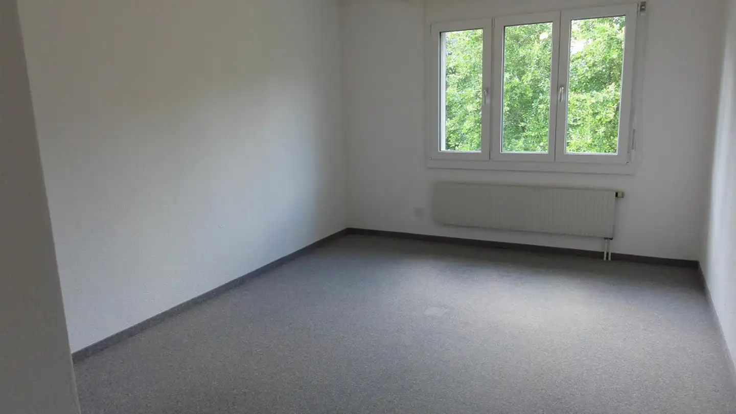 Appartamento in affitto - Eichbergstrasse 34, 9463 Oberriet SG - Photo 4