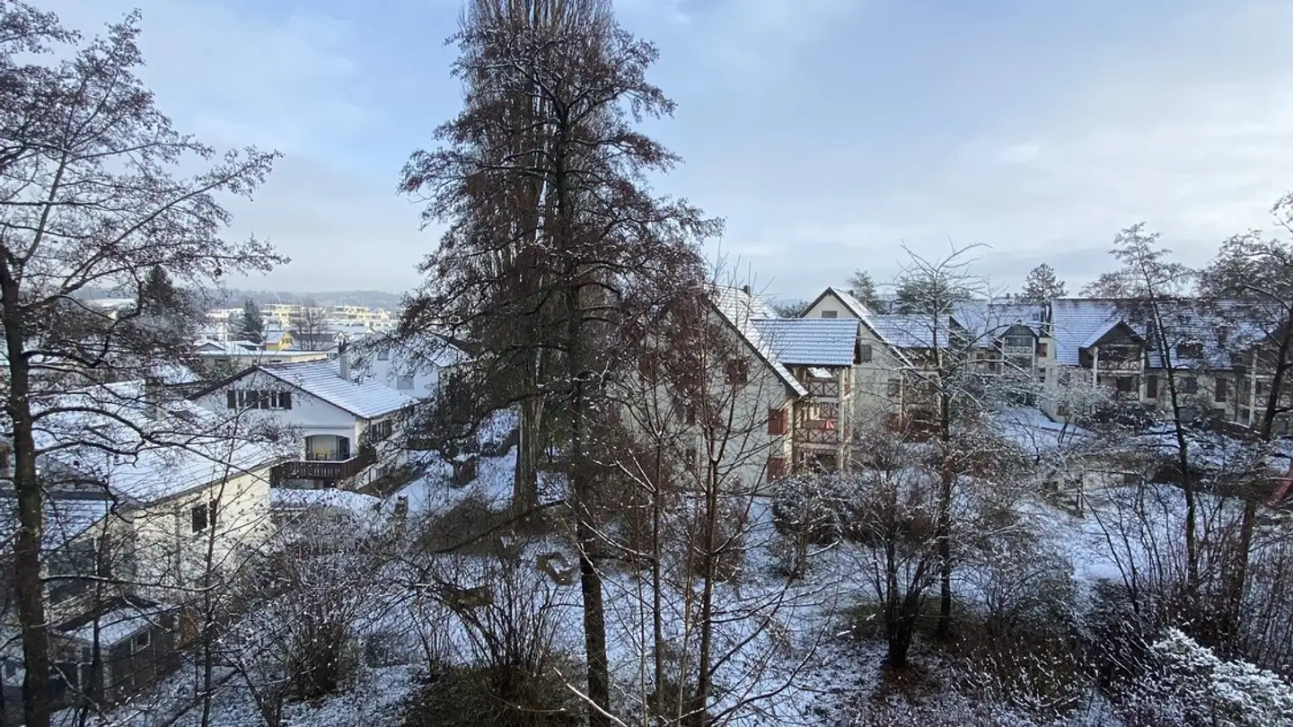 Apartment for rent - 8603 Schwerzenbach - Photo 3