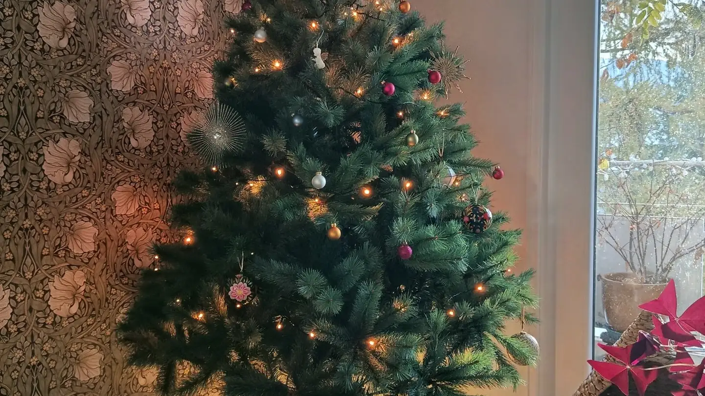 Chambre à louer - 1800 Vevey - Photo 2