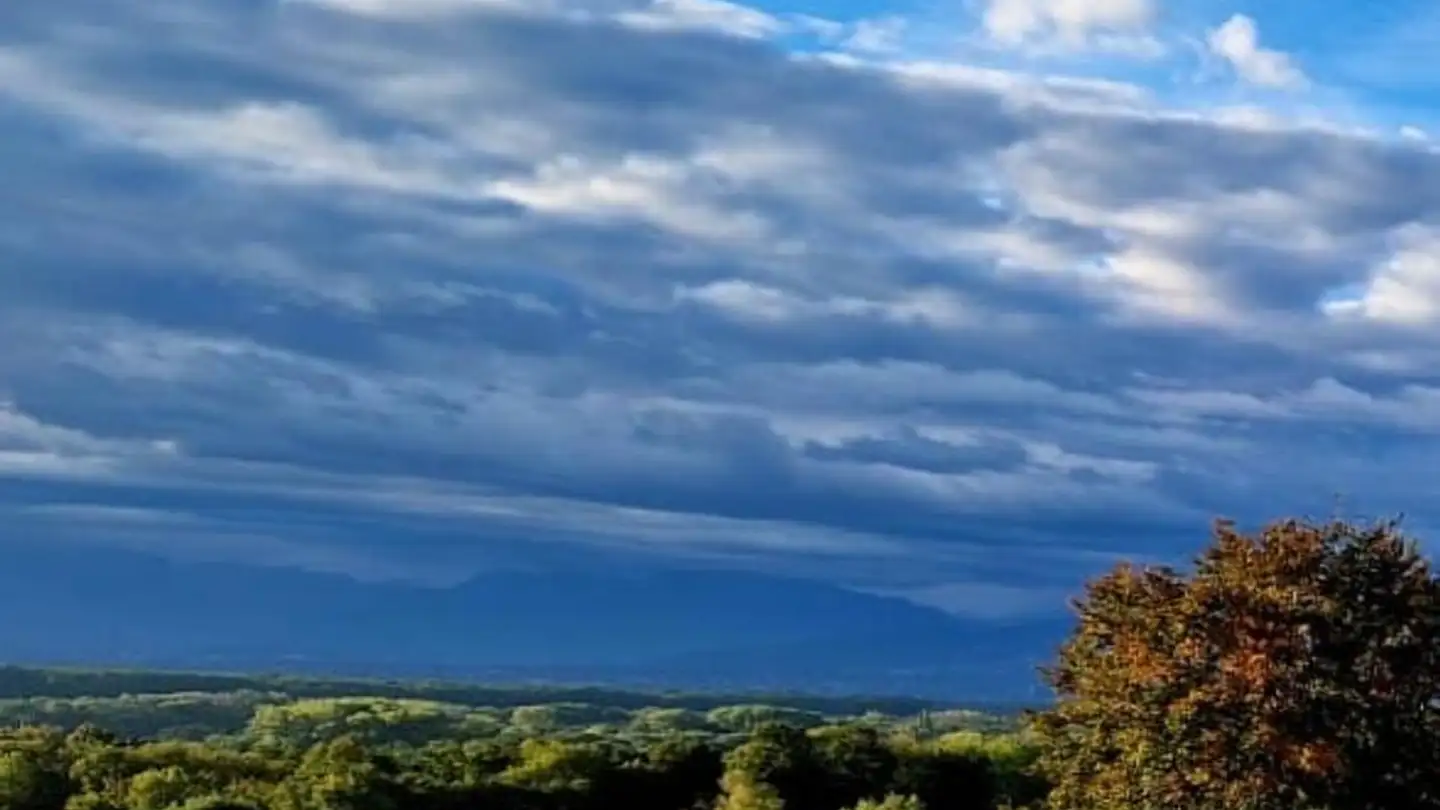 Appartamento in vendita - 1260 Nyon - Photo 2