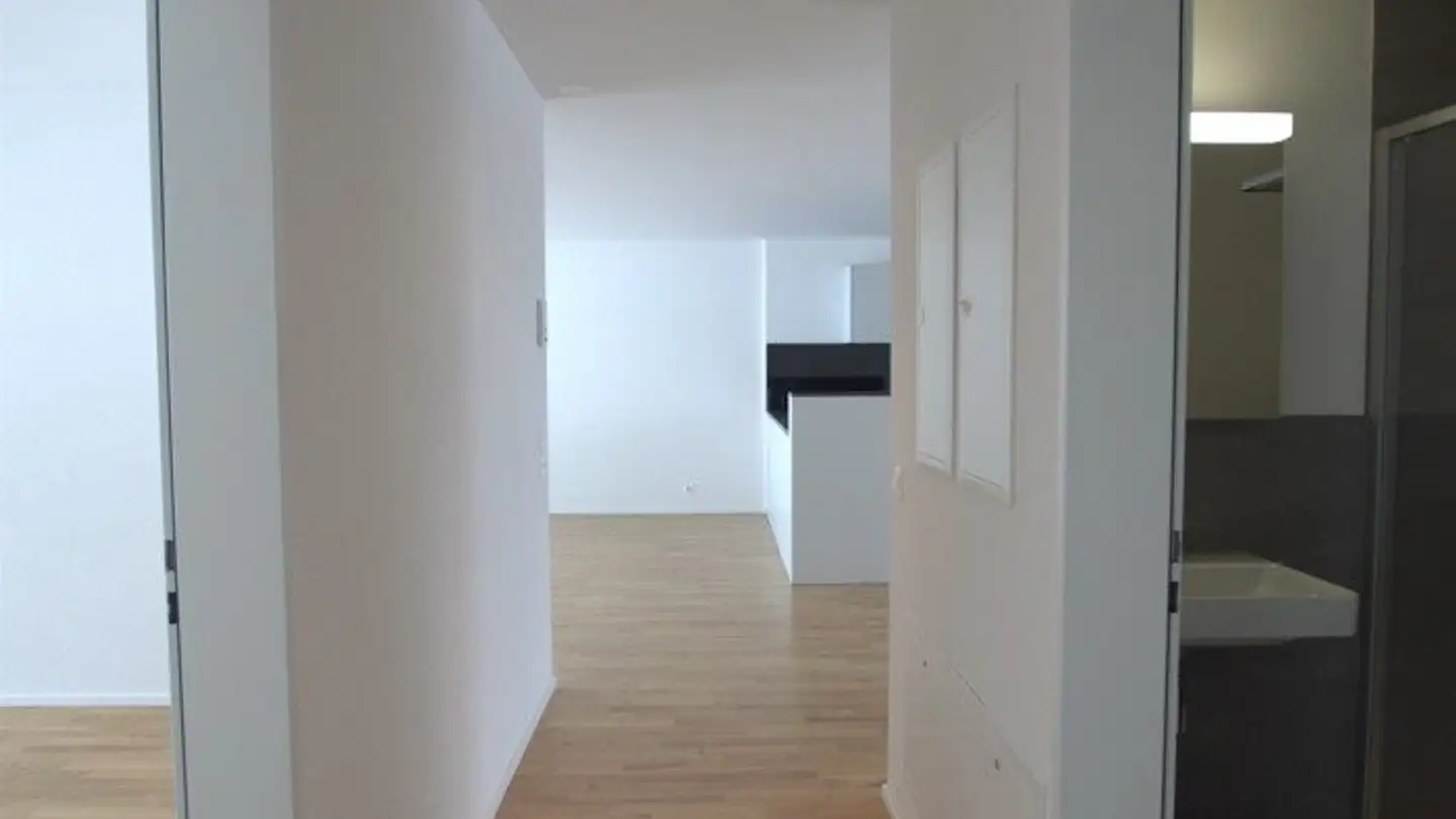 Appartamento in affitto - Sonnenbergstrasse 14a, 9100 Herisau - Foto 3