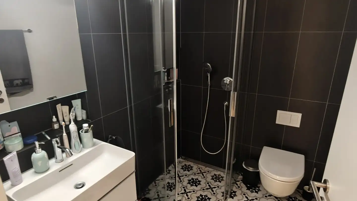 Furnished apartment for rent - Eibenstrasse 18, 8045 Zürich - Photo 4