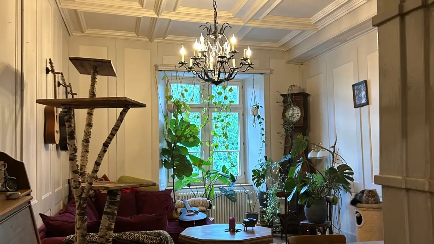 Wohnung mieten - 8400 Winterthur